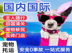 拉萨机场空运国际宠物托运 【国